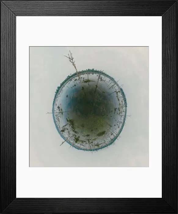 Framed Print : Lake with old trees sticking out of the water Framed Print : Lake with old trees sticking out of the water