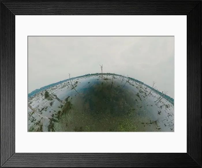 Framed Print : Lake with old trees sticking out of the water Framed Print : Lake with old trees sticking out of the water
