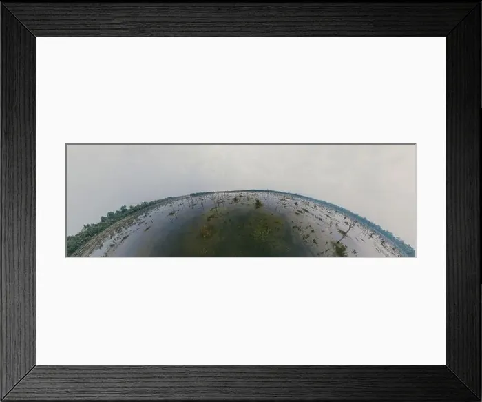 Framed Print : Lake with old trees sticking out of the water Framed Print : Lake with old trees sticking out of the water