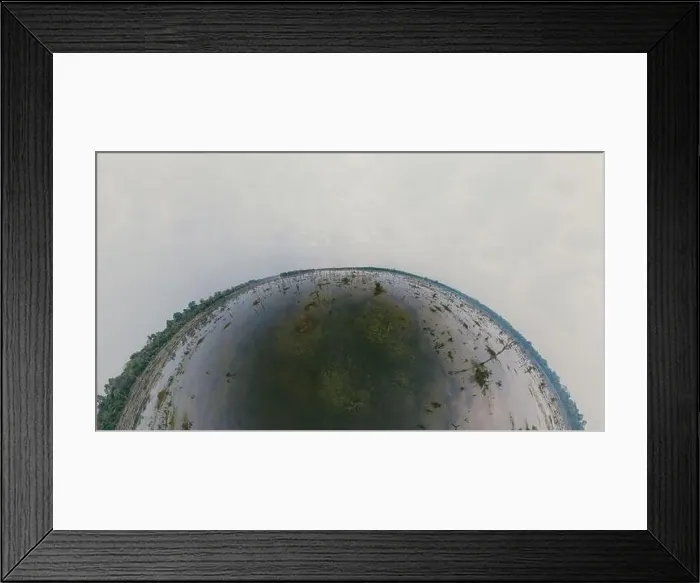Framed Print : Lake with old trees sticking out of the water Framed Print : Lake with old trees sticking out of the water