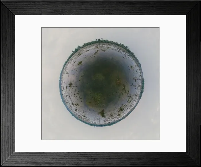 Framed Print : Lake with old trees sticking out of the water Framed Print : Lake with old trees sticking out of the water