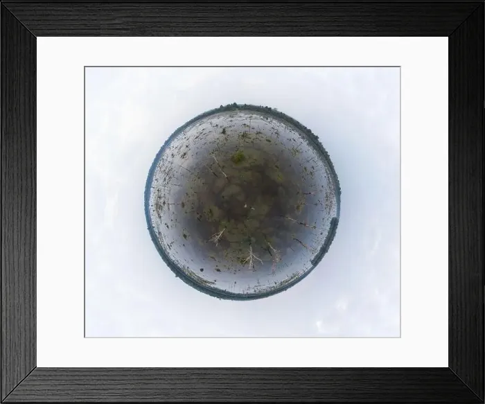 Framed Print : Lake with old trees sticking out of the water Framed Print : Lake with old trees sticking out of the water