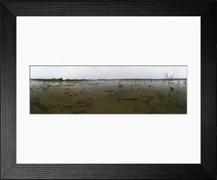 Framed Print : Lake with old trees sticking out of the water Framed Print : Lake with old trees sticking out of the water