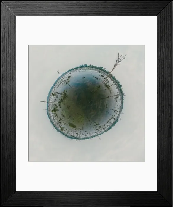 Framed Print : Lake with old trees sticking out of the water Framed Print : Lake with old trees sticking out of the water
