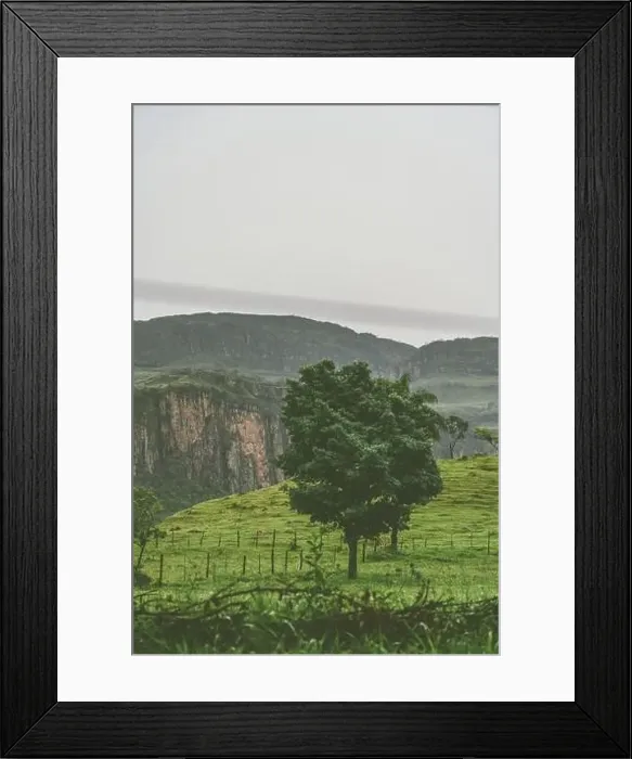 Framed Print : Pure nature landscape at the Serra da Canastra National Park in Brazil Framed Print : Pure nature landscape at the Serra da Canastra National Park in Brazil