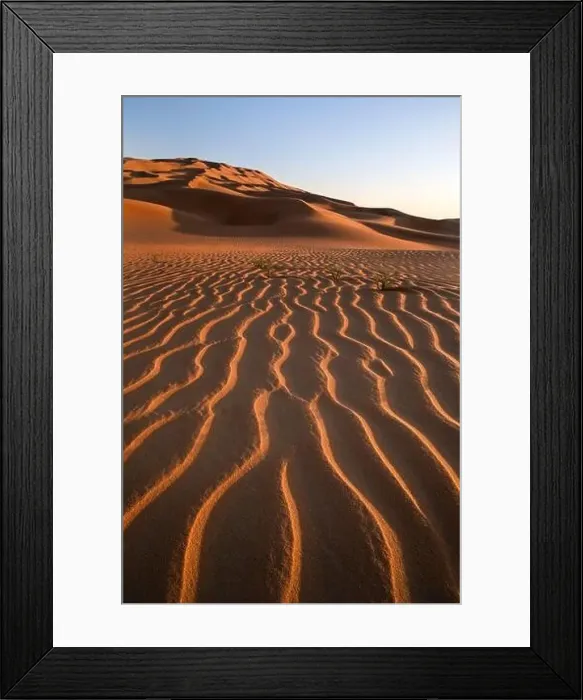 Framed Print : Abstract view of sand dunes in the desert at sunrise. Liwa desert, Empty Quarter, United Arab Emirates Framed Print : Abstract view of sand dunes in the desert at sunrise. Liwa desert, Empty Quarter, United Arab Emirates
