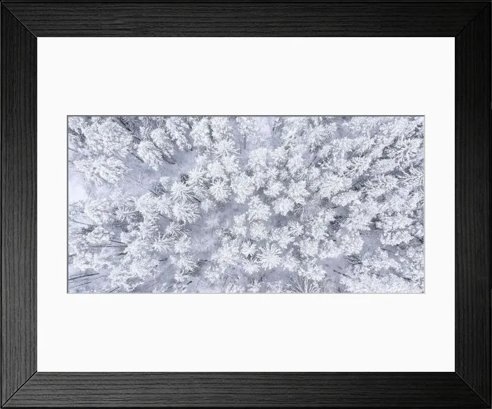 Framed Print : Beautiful landscape with trees under snow Framed Print : Beautiful landscape with trees under snow