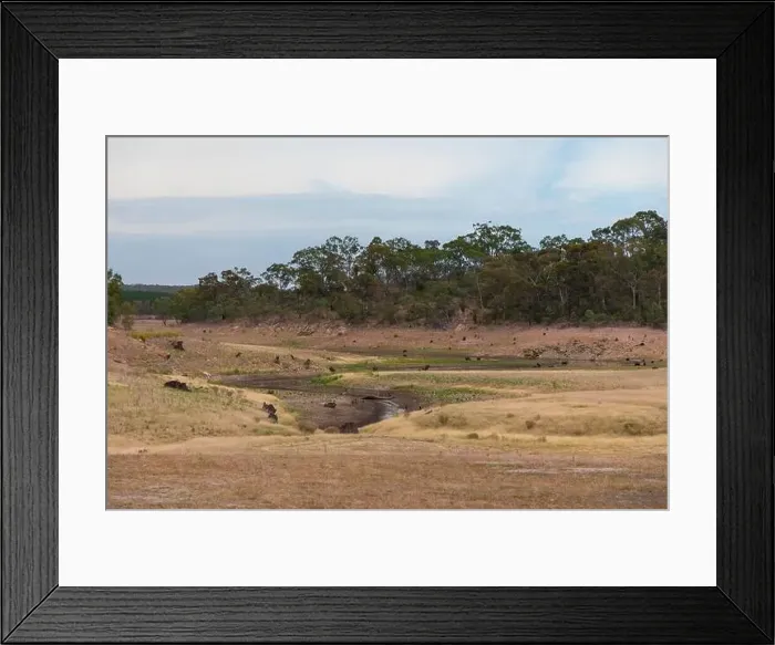 Framed Print : A fresh water reservoir feeder creek running dry due to the drought in Australia Framed Print : A fresh water reservoir feeder creek running dry due to the drought in Australia