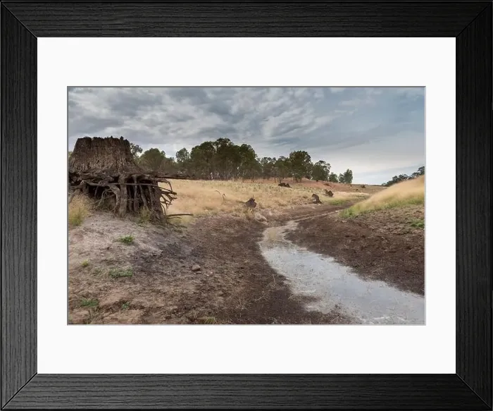 Framed Print : A fresh water reservoir feeder creek running dry due to the drought in Australia Framed Print : A fresh water reservoir feeder creek running dry due to the drought in Australia