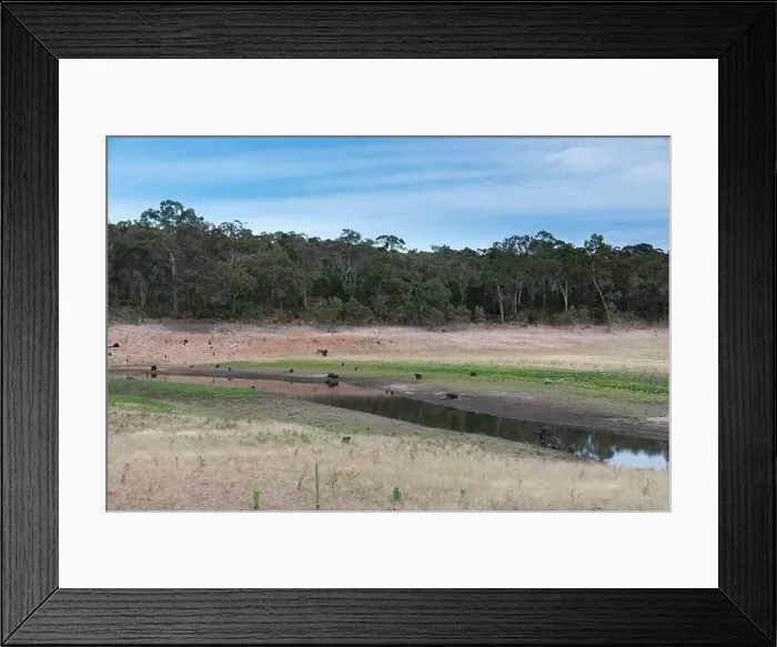 Framed Print : A fresh water reservoir feeder creek running dry due to the drought in Australia Framed Print : A fresh water reservoir feeder creek running dry due to the drought in Australia