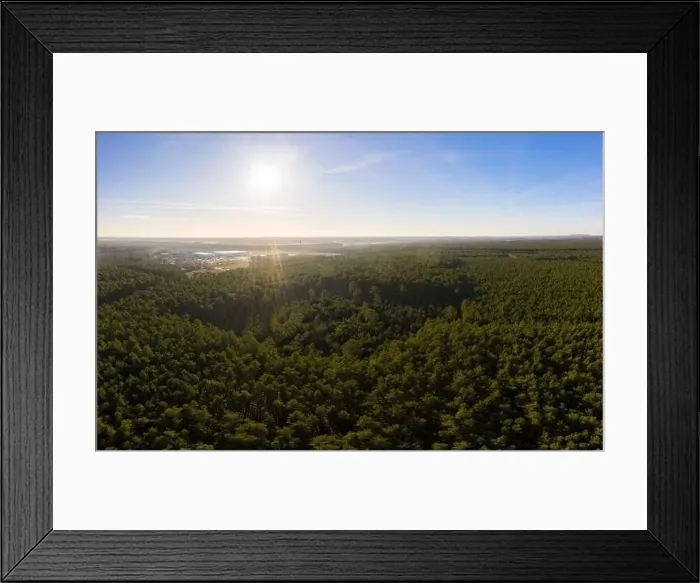 Framed Print : Aerial View photo of Forest Nature Trees Framed Print : Aerial View photo of Forest Nature Trees
