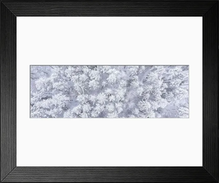 Framed Print : Banner of beautiful landscape with trees under snow Framed Print : Banner of beautiful landscape with trees under snow