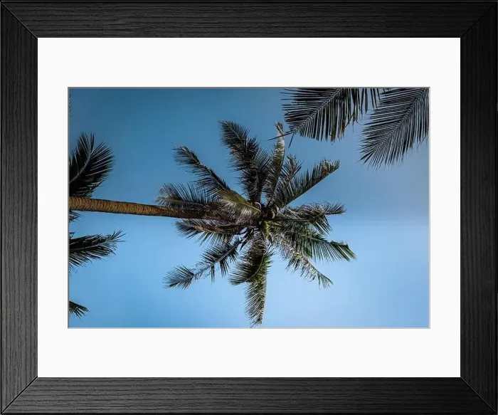 Framed Print : Thung Tako, Chumphon Thailand, palm trees from above at the southern part of Thaialnd