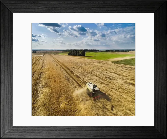 Framed Print : Farmer harvest wheat using combine harvester in Lithuania Framed Print : Farmer harvest wheat using combine harvester in Lithuania