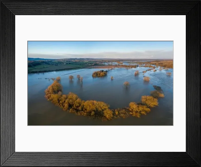 Framed Print : Aerial panoramic view of flooded farmland at sunrise - River Severn meander in Shropshire Framed Print : Aerial panoramic view of flooded farmland at sunrise - River Severn meander in Shropshire