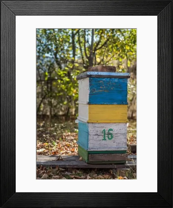 Framed Print : Multi-hulled hive on apiary. Beehives at a small private apiary garden Framed Print : Multi-hulled hive on apiary. Beehives at a small private apiary garden