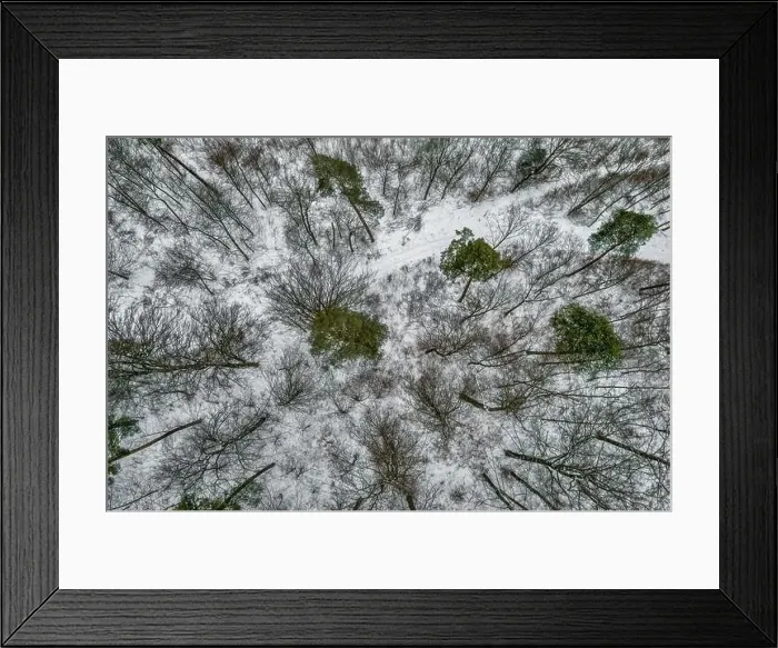 Framed Print : Aerial view on a winter snowy forest with some green trees Framed Print : Aerial view on a winter snowy forest with some green trees