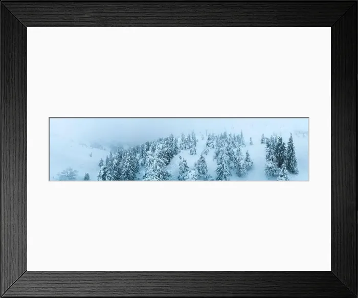 Framed Print : Fabulous snow-covered panorama of spruce trees growing on the mountain slopes in winter in cloudy foggy weather Framed Print : Fabulous snow-covered panorama of spruce trees growing on the mountain slopes in winter in cloudy foggy weather