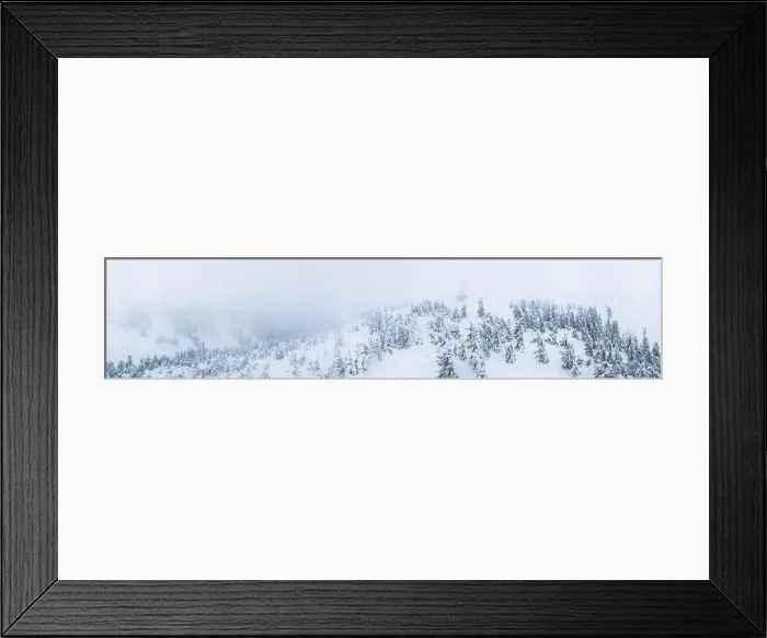 Framed Print : Fabulous snow-covered panorama of spruce trees growing on the mountain slopes in winter in cloudy foggy weather