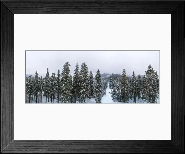 Framed Print : Fabulous snow-covered panorama of spruce trees growing on the mountain slopes in winter in cloudy foggy weather Framed Print : Fabulous snow-covered panorama of spruce trees growing on the mountain slopes in winter in cloudy foggy weather