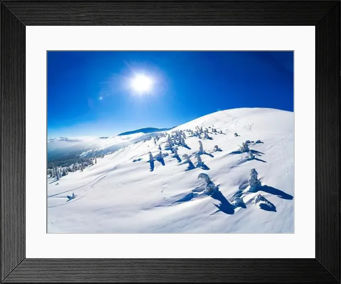 Framed Print : Fabulous view of the sunny winter slope with snowy trees located in the ski resort Framed Print : Fabulous view of the sunny winter slope with snowy trees located in the ski resort