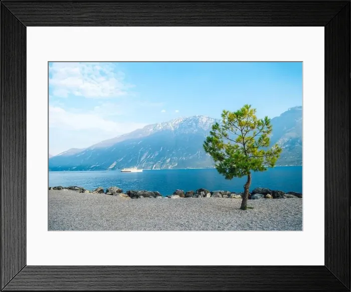 Framed Print : Green tree on shore of valley of beautiful lake Garda among the mountains Framed Print : Green tree on shore of valley of beautiful lake Garda among the mountains