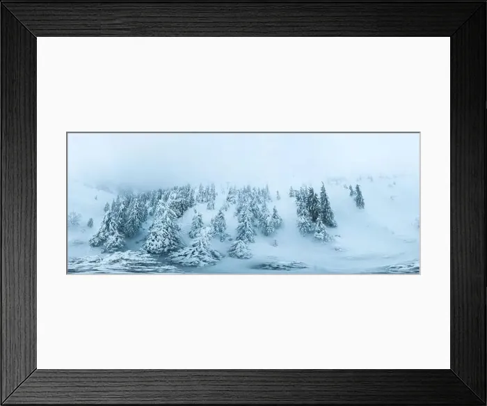 Framed Print : Fabulous snow-covered panorama of spruce trees growing on the mountain slopes in winter in cloudy foggy weather Framed Print : Fabulous snow-covered panorama of spruce trees growing on the mountain slopes in winter in cloudy foggy weather