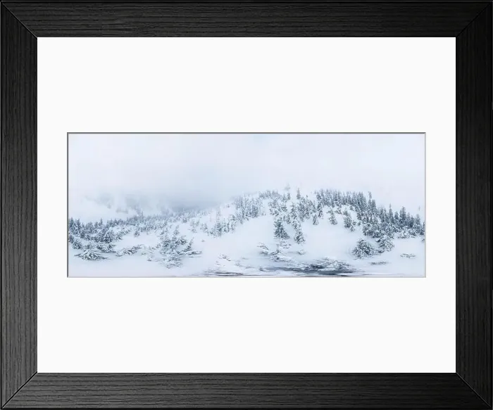 Framed Print : Fabulous snow-covered panorama of spruce trees growing on the mountain slopes in winter in cloudy foggy weather Framed Print : Fabulous snow-covered panorama of spruce trees growing on the mountain slopes in winter in cloudy foggy weather