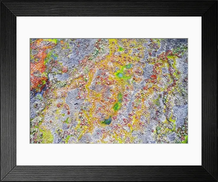 Framed Print : beautiful autumn swamp aerial view Framed Print : beautiful autumn swamp aerial view