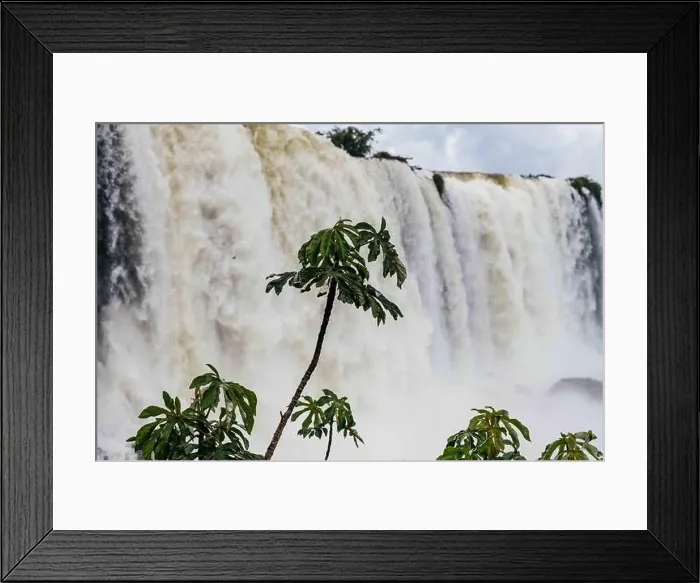 Framed Print : Iguazu falls Framed Print : Iguazu falls