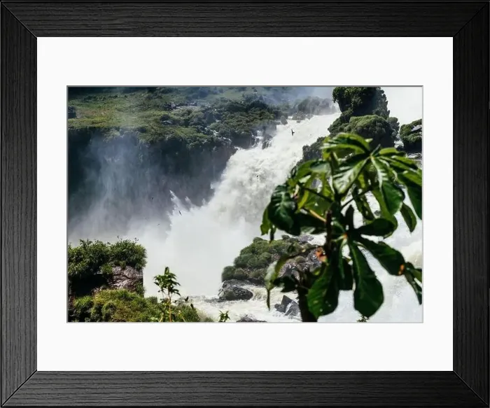 Framed Print : Iguazu falls Framed Print : Iguazu falls