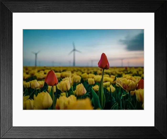 Framed Print : Wind turbine from aerial view