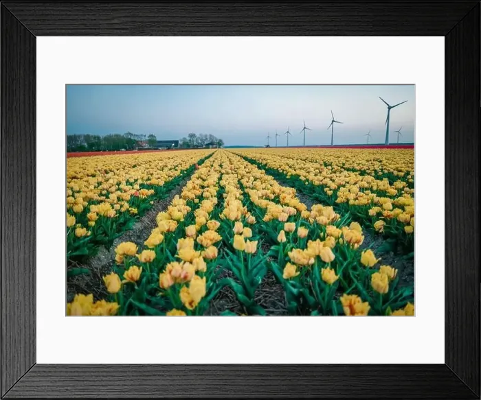 Framed Print : Wind turbine from aerial view Framed Print : Wind turbine from aerial view