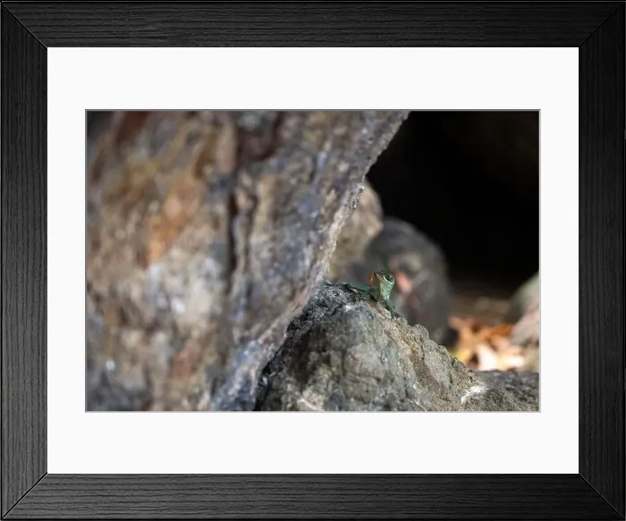 Framed Print : Mount Irvine Bay Beach In Tobago Caribbean Framed Print : Mount Irvine Bay Beach In Tobago Caribbean