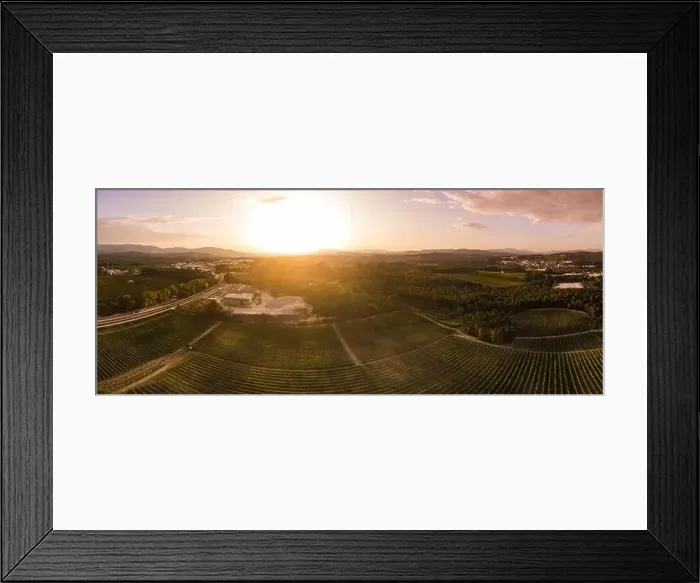 Framed Print : Aerial view of a green vineyard in Portugal at sunset Framed Print : Aerial view of a green vineyard in Portugal at sunset