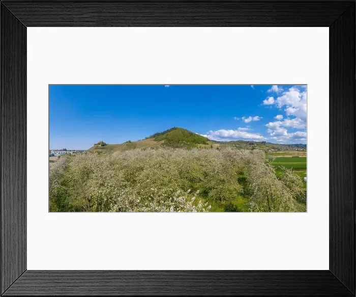 Framed Print : Drone aerial view, Ortenberg Castle in spring, Ortenberg, Black Forest, Baden-Wurttemberg, Germany, Europe Framed Print : Drone aerial view, Ortenberg Castle in spring, Ortenberg, Black Forest, Baden-Wurttemberg, Germany, Europe
