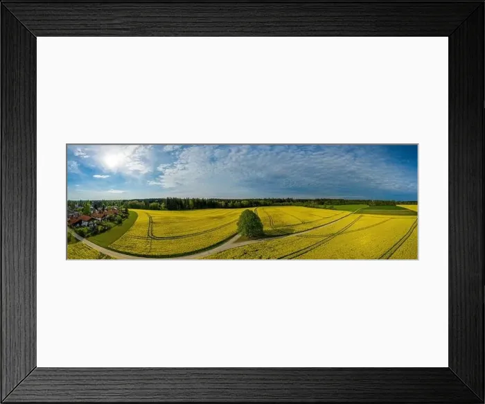 Framed Print : Yellow, colorful rapeseed fields as aerial panorama with a little village on the left side Framed Print : Yellow, colorful rapeseed fields as aerial panorama with a little village on the left side