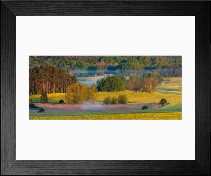 Framed Print : forests and fields in the first rays of sunny, foggy morning Framed Print : forests and fields in the first rays of sunny, foggy morning