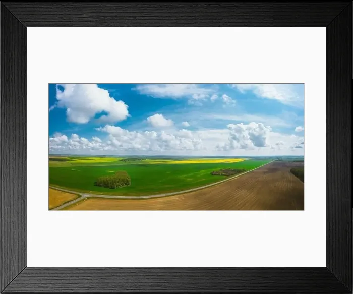 Framed Print : Picturesque panorama of agricultural fields with rape and wheat Framed Print : Picturesque panorama of agricultural fields with rape and wheat