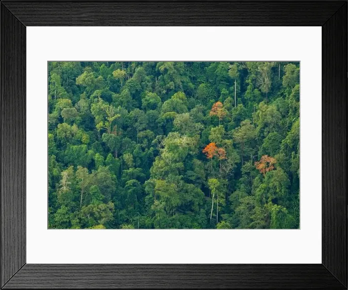 Framed Print : Landscape nature in Thailand Framed Print : Landscape nature in Thailand