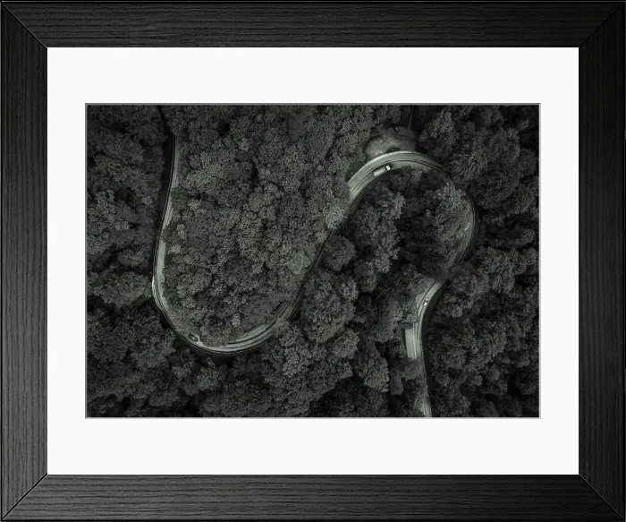 Framed Print : Wonderful forest in black and white with a curvy road and cars from a top view drone shot Framed Print : Wonderful forest in black and white with a curvy road and cars from a top view drone shot