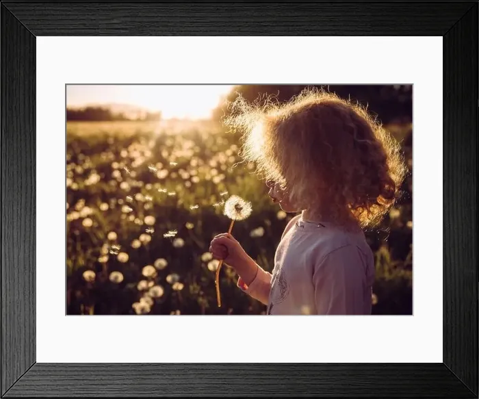 Framed Print : Selective focus cute blonde curly hair girl blowing blossomed dandelion flower head Framed Print : Selective focus cute blonde curly hair girl blowing blossomed dandelion flower head