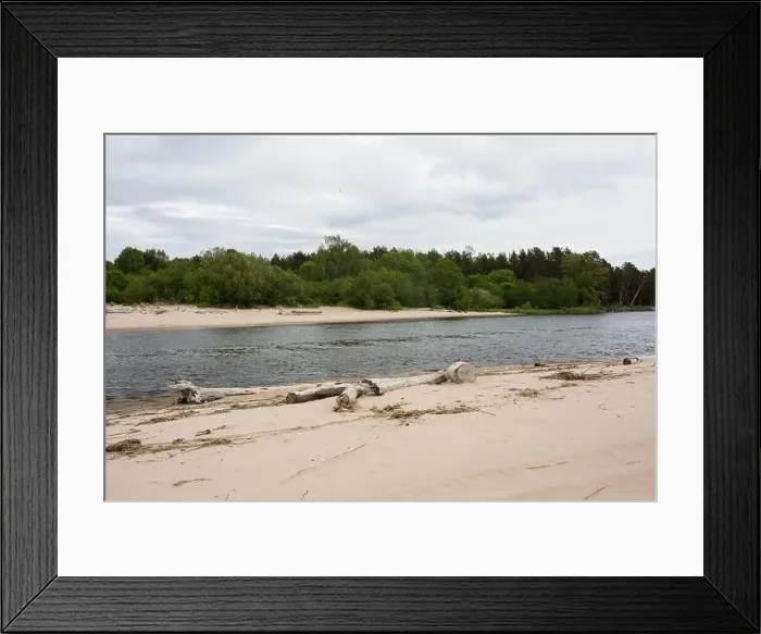 Framed Print : City Carnikava, Latvia. Green nature in summer with River Gauja and waves. 03.06.2020 Framed Print : City Carnikava, Latvia. Green nature in summer with River Gauja and waves. 03.06.2020