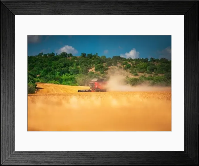 Framed Print : Combine harvester agriculture machine harvesting golden ripe wheat field Framed Print : Combine harvester agriculture machine harvesting golden ripe wheat field