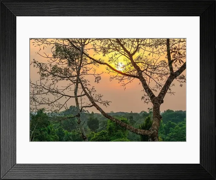 Framed Print : Aerial Amazon Rainforest landscape at sunset comprising the countries Brazil Framed Print : Aerial Amazon Rainforest landscape at sunset comprising the countries Brazil