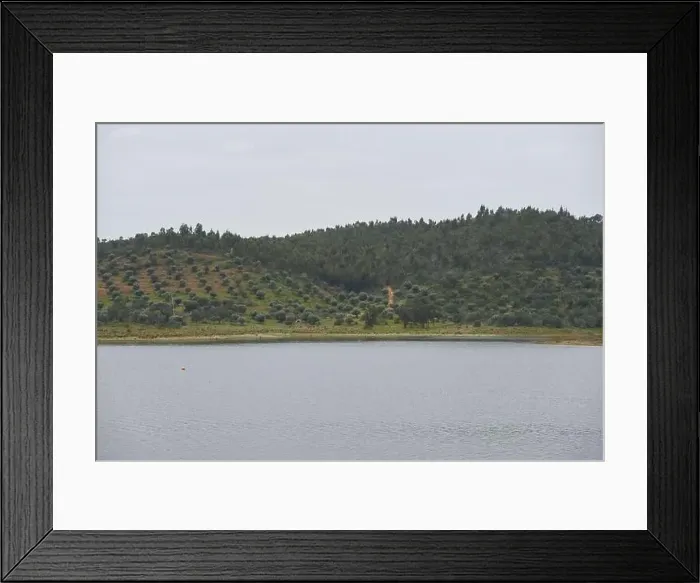 Framed Print : Landscape in lake reservoir dam of Alqueva with trees in Alentejo, Portugal Framed Print : Landscape in lake reservoir dam of Alqueva with trees in Alentejo, Portugal