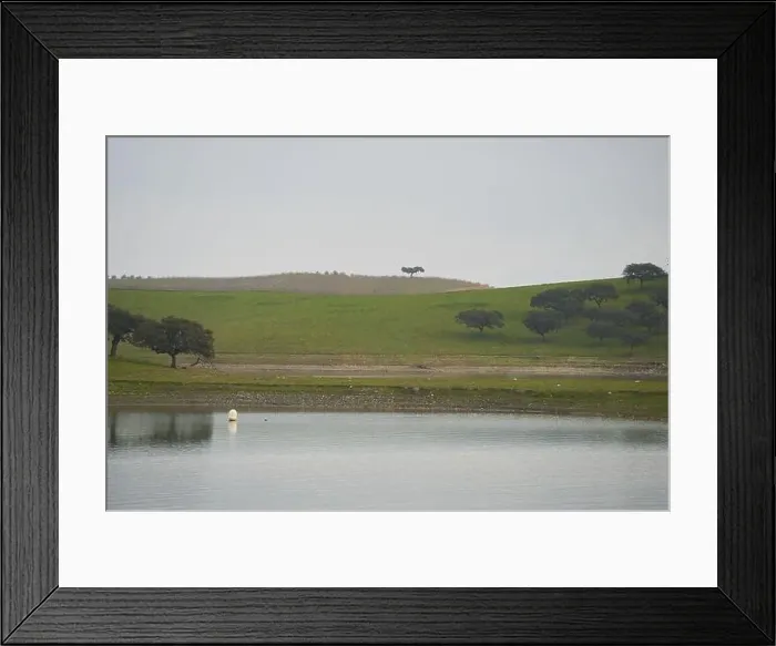 Framed Print : Landscape in lake reservoir dam of Alqueva with trees in Alentejo, Portugal Framed Print : Landscape in lake reservoir dam of Alqueva with trees in Alentejo, Portugal