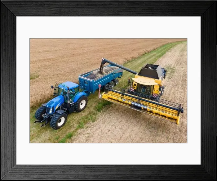 Framed Print : top view of a modern combine harvester pouring rapeseed in a tractor dump Framed Print : top view of a modern combine harvester pouring rapeseed in a tractor dump