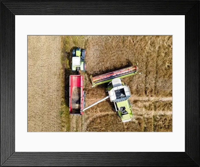 Framed Print : drone aerial view of a modern combine harvester pourring crop in a tractor dump Framed Print : drone aerial view of a modern combine harvester pourring crop in a tractor dump