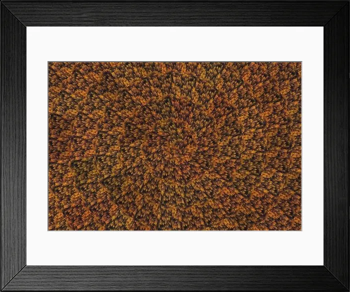 Framed Print : abstract nature background fall trees top view Framed Print : abstract nature background fall trees top view